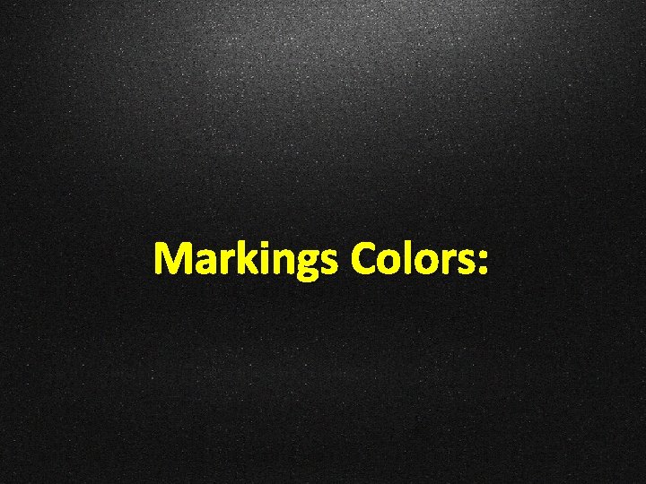Markings Colors: 