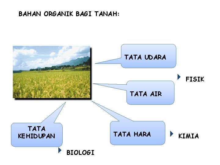 BAHAN ORGANIK BAGI TANAH: TATA UDARA FISIK TATA AIR TATA KEHIDUPAN TATA HARA BIOLOGI