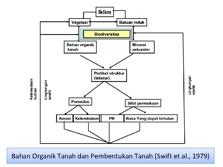 Bahan Organik Tanah dan Pembentukan Tanah (Swift et al. , 1979) 