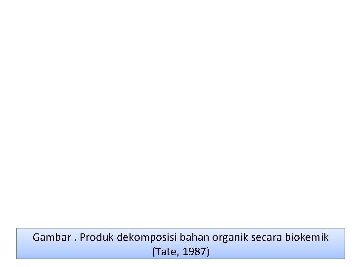 Gambar. Produk dekomposisi bahan organik secara biokemik (Tate, 1987) 