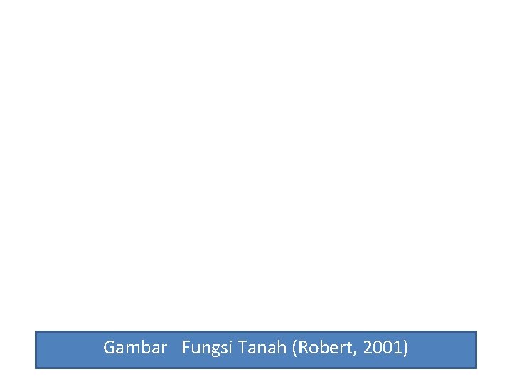 Gambar Fungsi Tanah (Robert, 2001) 