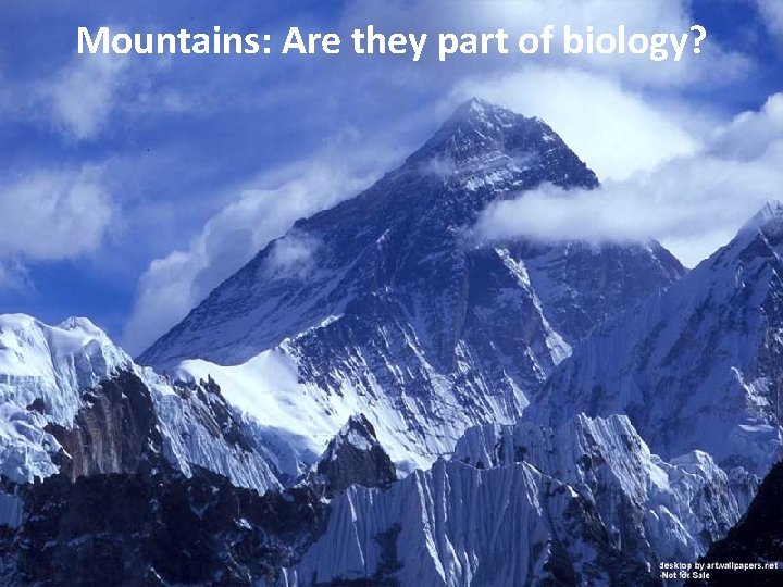 Mountains: Are they part of biology? 