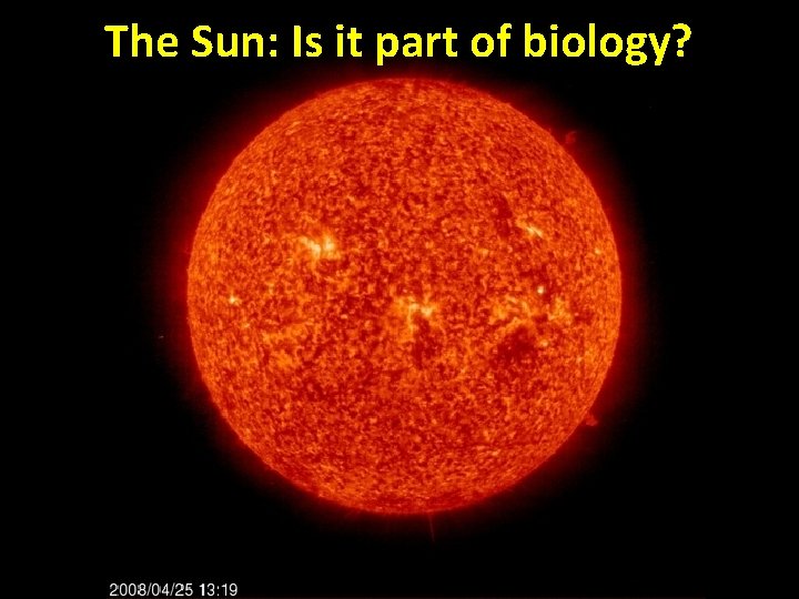 The Sun: Is it part of biology? 