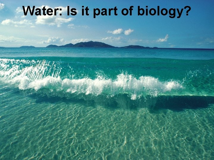 Water: Is it part of biology? 