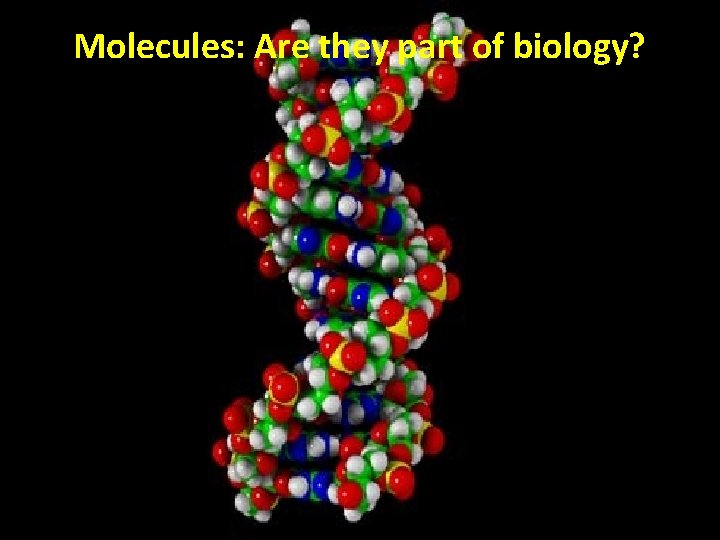 Molecules: Are they part of biology? 