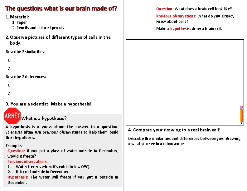 Question: What does a brain cell look like? 1. Material: 1. Paper 2. Pencils