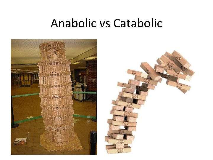 Anabolic vs Catabolic 