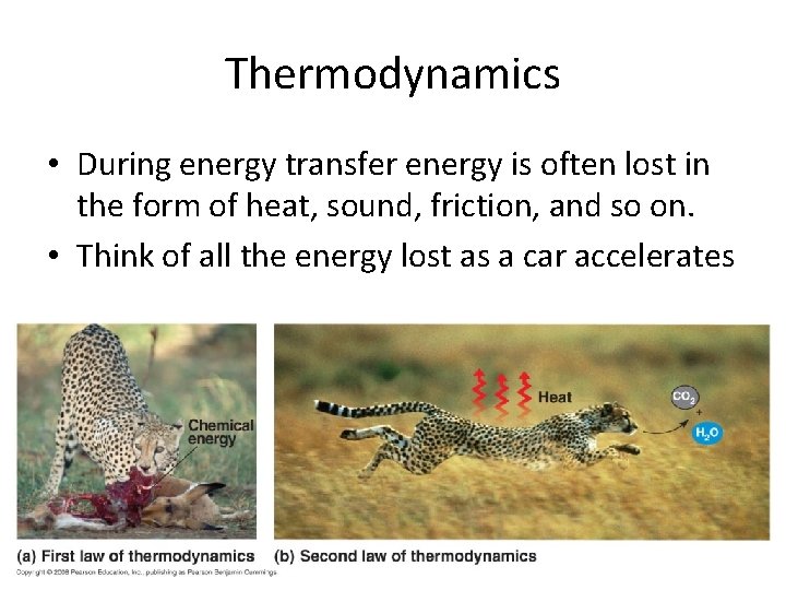 Thermodynamics • During energy transfer energy is often lost in the form of heat,
