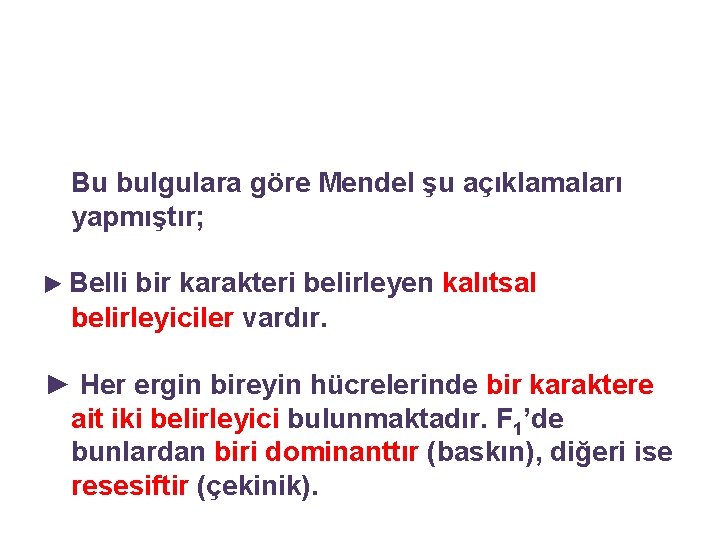 Bu bulgulara göre Mendel şu açıklamaları yapmıştır; ► Belli bir karakteri belirleyen kalıtsal belirleyiciler