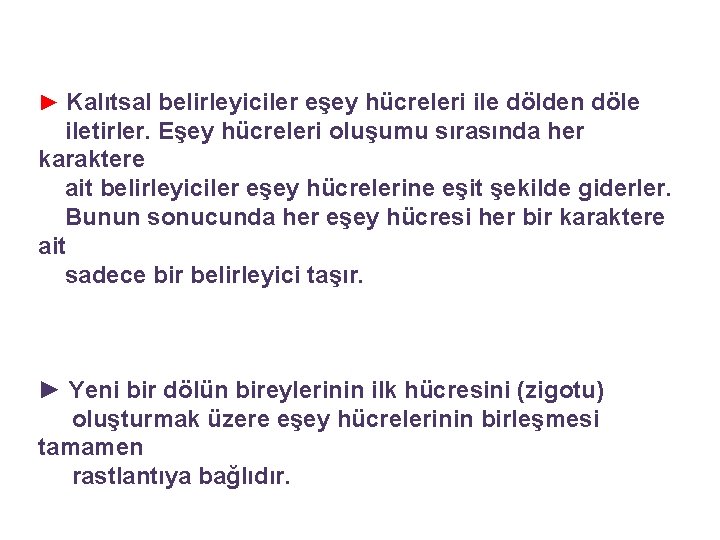 ► Kalıtsal belirleyiciler eşey hücreleri ile dölden döle iletirler. Eşey hücreleri oluşumu sırasında her