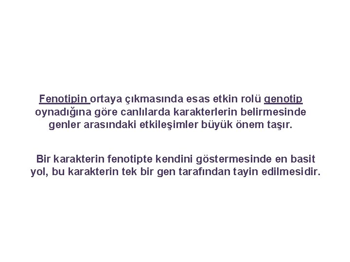 GENLER ARASINDAKİ ETKİLEŞİMLER Fenotipin ortaya çıkmasında esas etkin rolü genotip oynadığına göre canlılarda karakterlerin