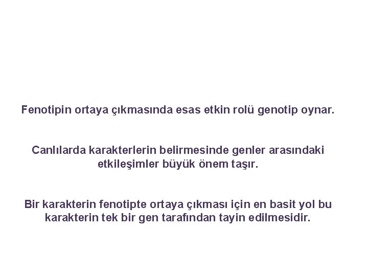 Özet olarak; Fenotipin ortaya çıkmasında esas etkin rolü genotip oynar. Canlılarda karakterlerin belirmesinde genler