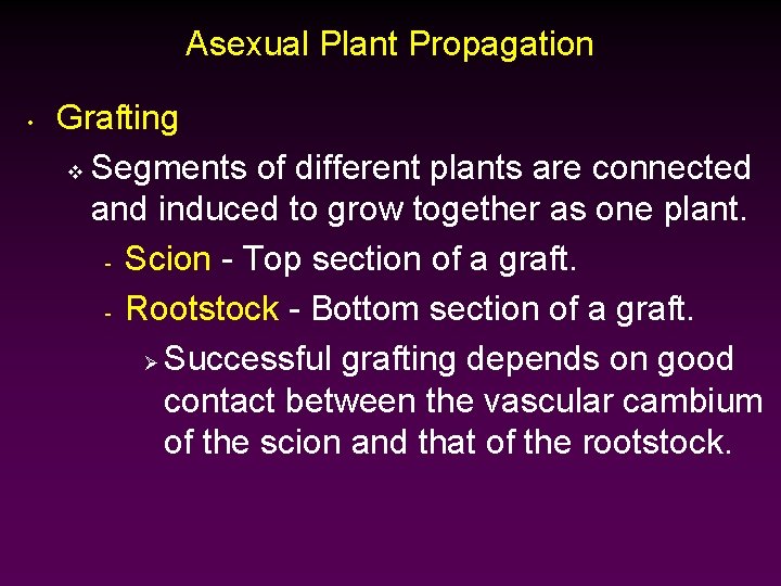 Asexual Plant Propagation • Grafting v Segments of different plants are connected and induced
