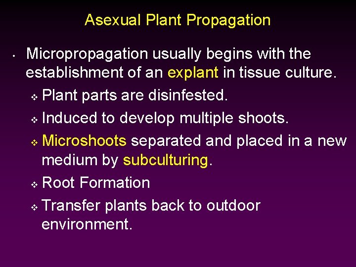 Asexual Plant Propagation • Micropropagation usually begins with the establishment of an explant in