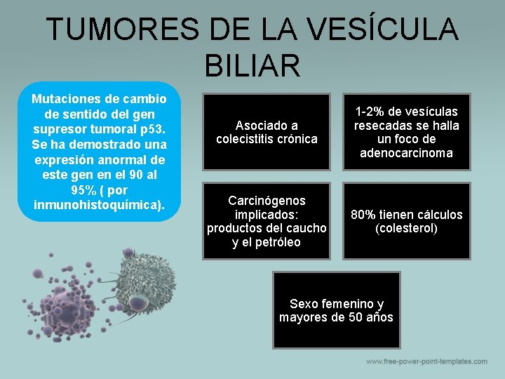 TUMORES DE LA VESÍCULA BILIAR Mutaciones de cambio de sentido del gen supresor tumoral