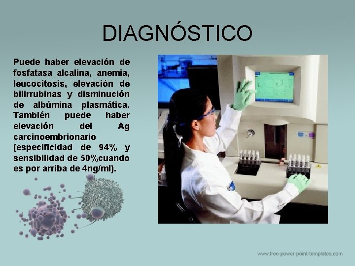 DIAGNÓSTICO Puede haber elevación de fosfatasa alcalina, anemia, leucocitosis, elevación de bilirrubinas y disminución