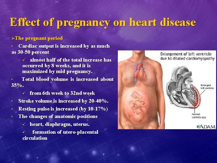 Effect of pregnancy on heart disease ØThe pregnant period Cardiac output is increased by