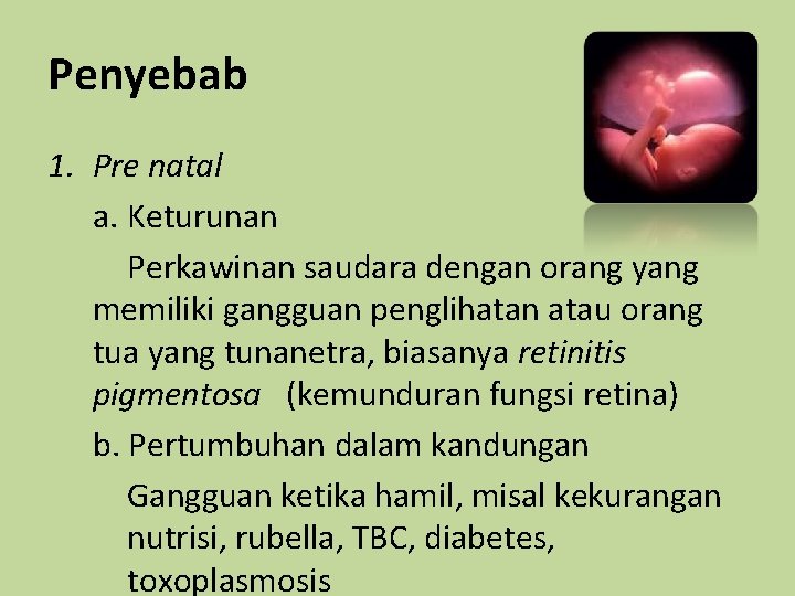 Penyebab 1. Pre natal a. Keturunan Perkawinan saudara dengan orang yang memiliki gangguan penglihatan