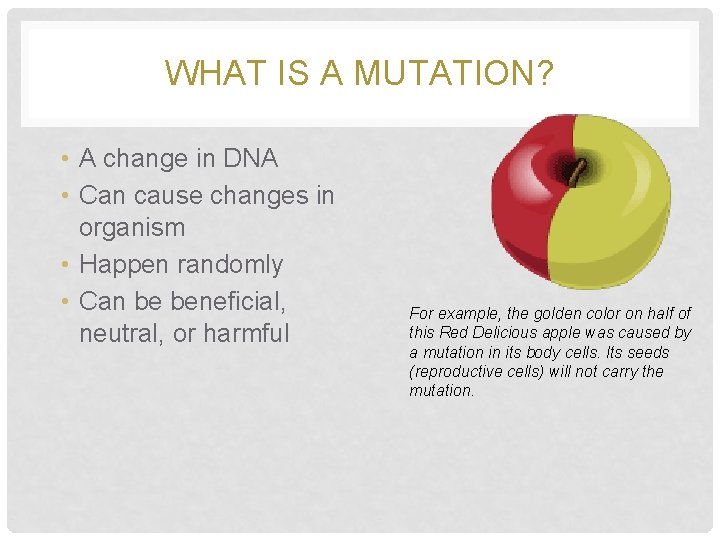 WHAT IS A MUTATION? • A change in DNA • Can cause changes in