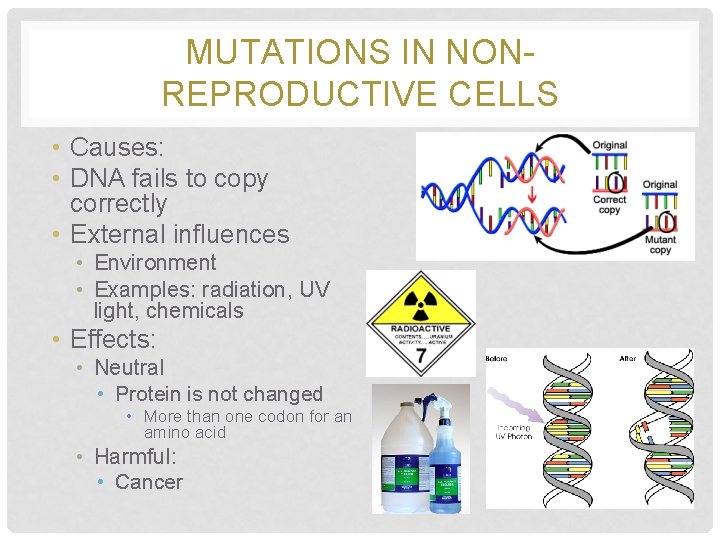 MUTATIONS IN NONREPRODUCTIVE CELLS • Causes: • DNA fails to copy correctly • External