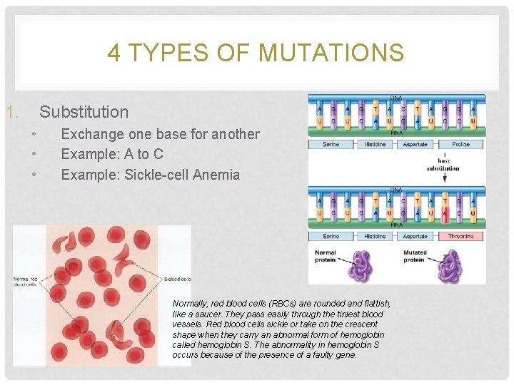 4 TYPES OF MUTATIONS 1. Substitution • • • Exchange one base for another