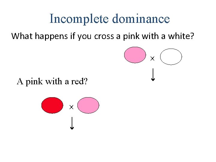 Incomplete dominance What happens if you cross a pink with a white? A pink
