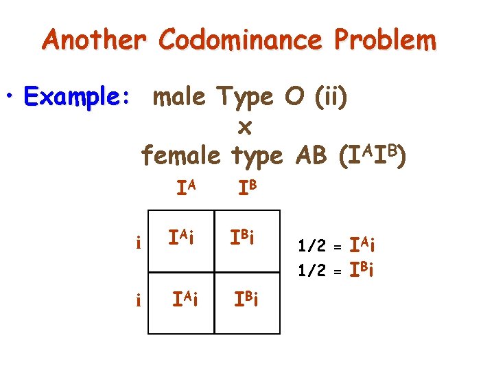 Another Codominance Problem • Example: male Type O (ii) x female type AB (IAIB)