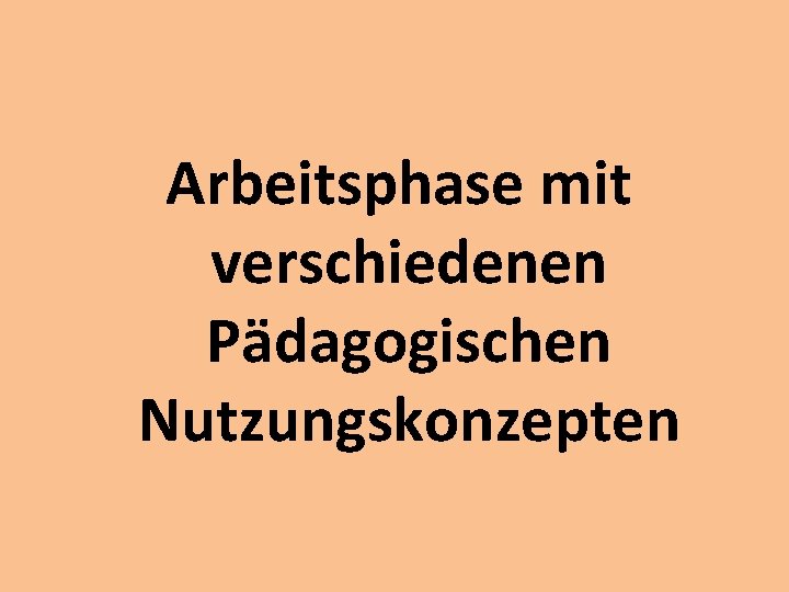 Arbeitsphase mit verschiedenen Pädagogischen Nutzungskonzepten 