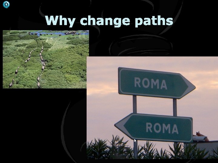 . Why change paths 