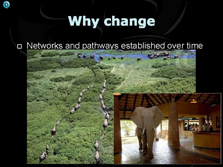 . Why change Networks and pathways established over time 