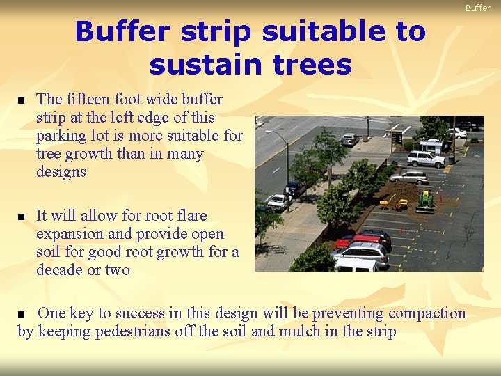 Buffer strip suitable to sustain trees n n The fifteen foot wide buffer strip