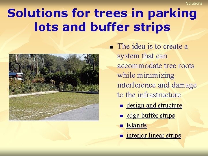 Solutions for trees in parking lots and buffer strips n The idea is to