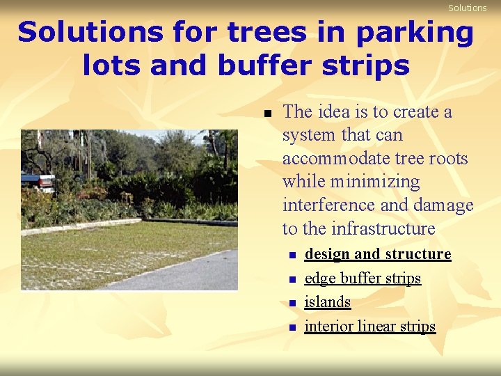 Solutions for trees in parking lots and buffer strips n The idea is to