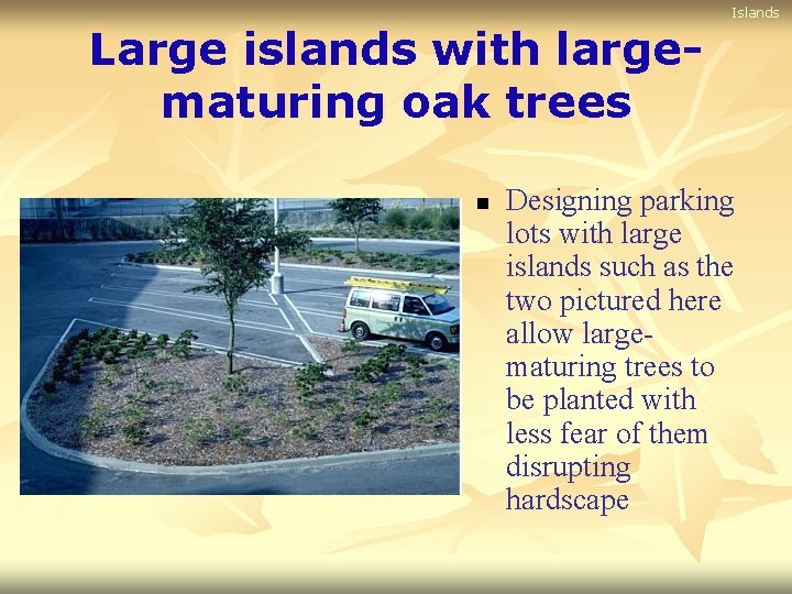 Islands Large islands with largematuring oak trees n Designing parking lots with large islands