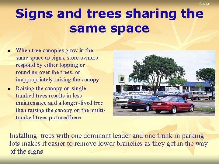 design Signs and trees sharing the same space n n When tree canopies grow