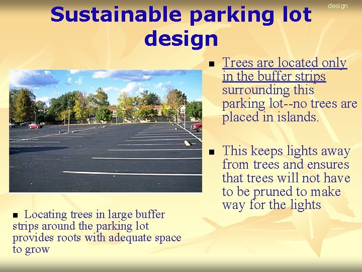 Sustainable parking lot design n n Locating trees in large buffer strips around the