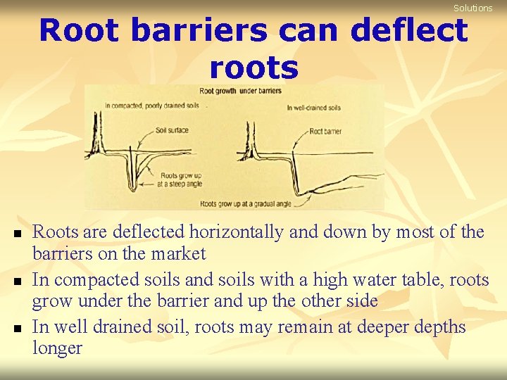 Solutions Root barriers can deflect roots n n n Roots are deflected horizontally and