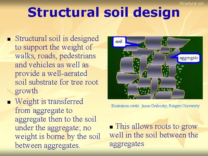 Structural soil design n n Structural soil is designed to support the weight of