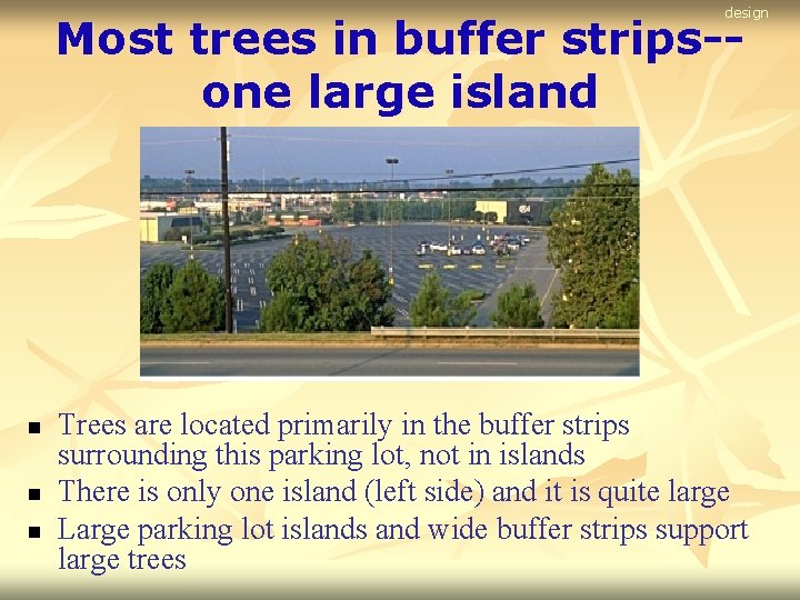 design Most trees in buffer strips-one large island n n n Trees are located