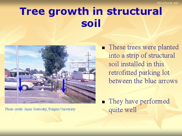 Structural soil Tree growth in structural soil n n Photo credit: Jason Grabosky, Rutgers