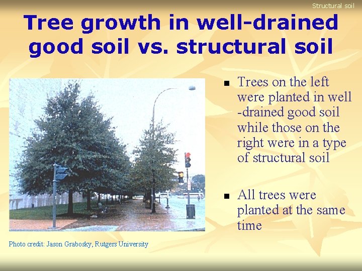 Structural soil Tree growth in well-drained good soil vs. structural soil n n Photo