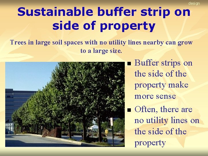 design Sustainable buffer strip on side of property Trees in large soil spaces with
