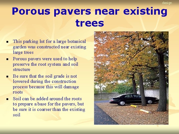 design Porous pavers near existing trees n n This parking lot for a large