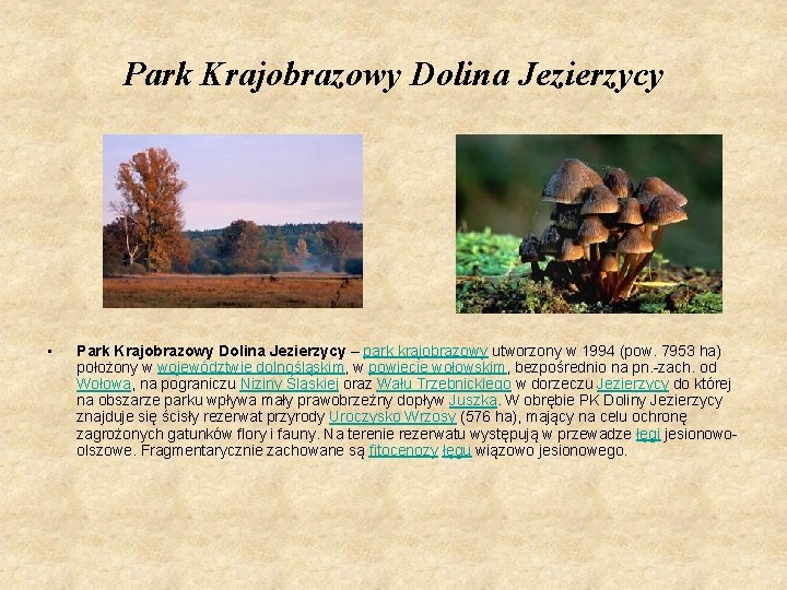 Park Krajobrazowy Dolina Jezierzycy • Park Krajobrazowy Dolina Jezierzycy – park krajobrazowy utworzony w