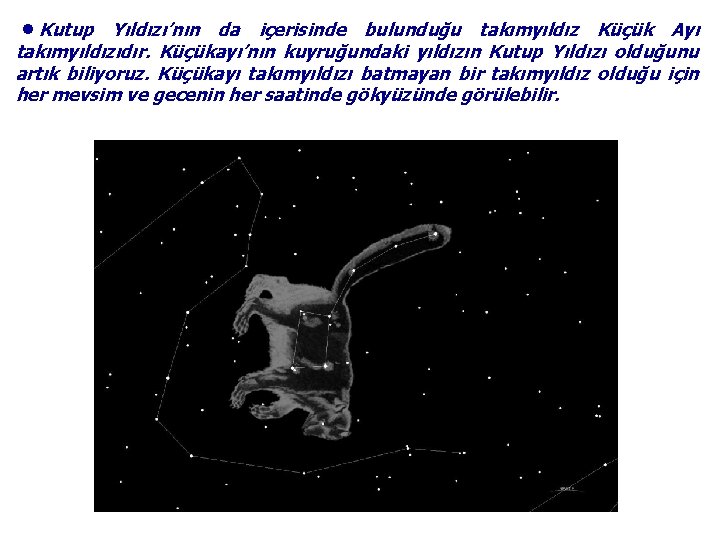 ●Kutup Yıldızı’nın da içerisinde bulunduğu takımyıldız Küçük Ayı takımyıldızıdır. Küçükayı’nın kuyruğundaki yıldızın Kutup Yıldızı