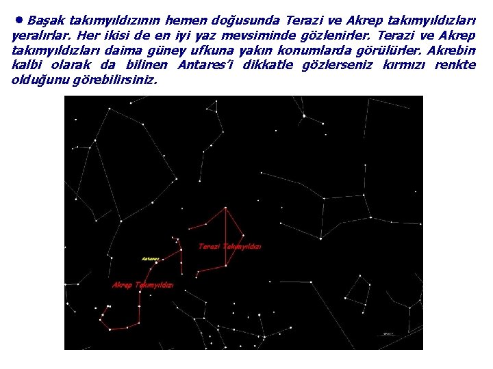 ●Başak takımyıldızının hemen doğusunda Terazi ve Akrep takımyıldızları yeralırlar. Her ikisi de en iyi