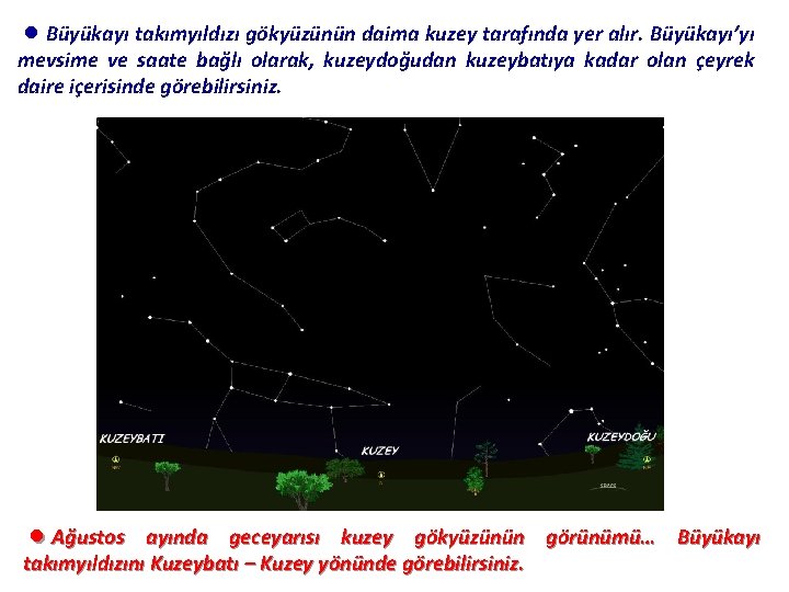 ●Büyükayı takımyıldızı gökyüzünün daima kuzey tarafında yer alır. Büyükayı’yı mevsime ve saate bağlı olarak,