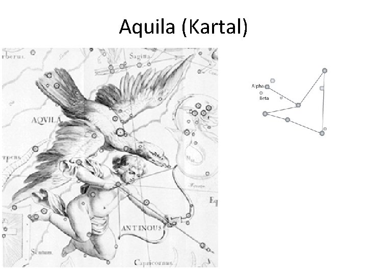 Aquila (Kartal) 