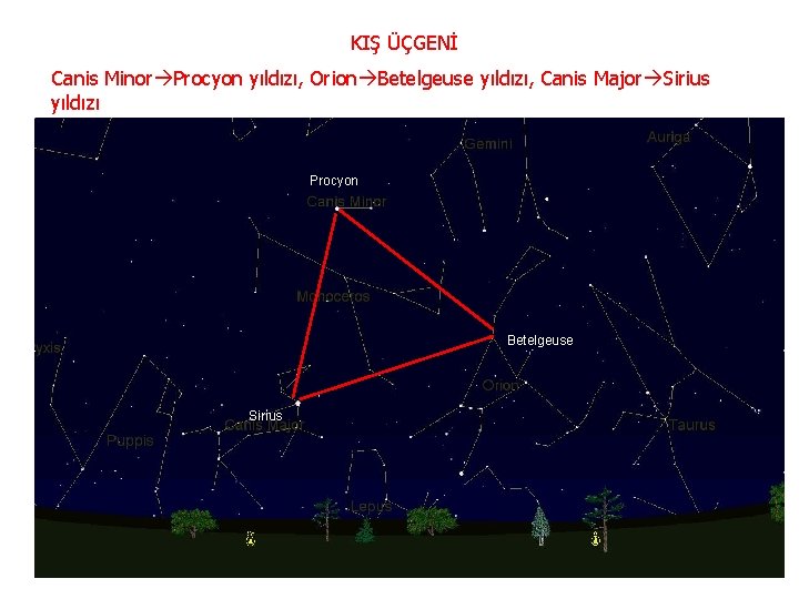KIŞ ÜÇGENİ Canis Minor Procyon yıldızı, Orion Betelgeuse yıldızı, Canis Major Sirius yıldızı Procyon