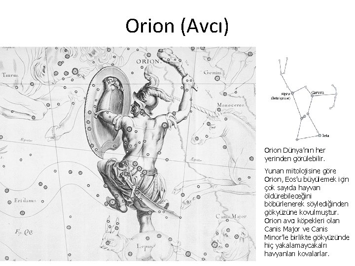 Orion (Avcı) Orion Dünya’nın her yerinden görülebilir. Yunan mitolojisine göre Orion, Eos’u büyülemek için